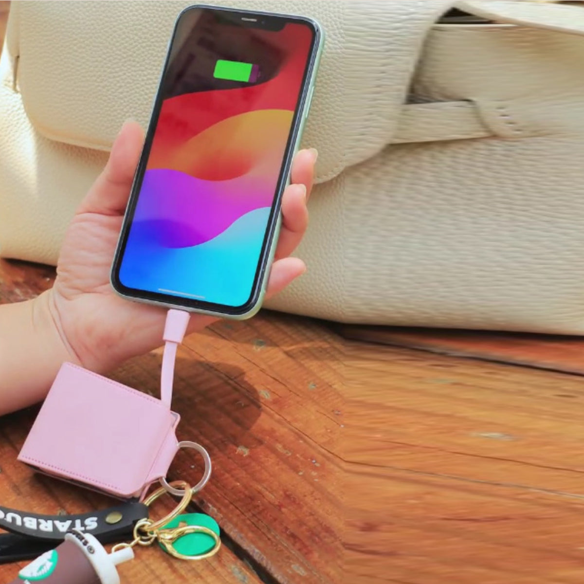 Mini Purse Style Dual Phone and Gadget Charger Vista Shops