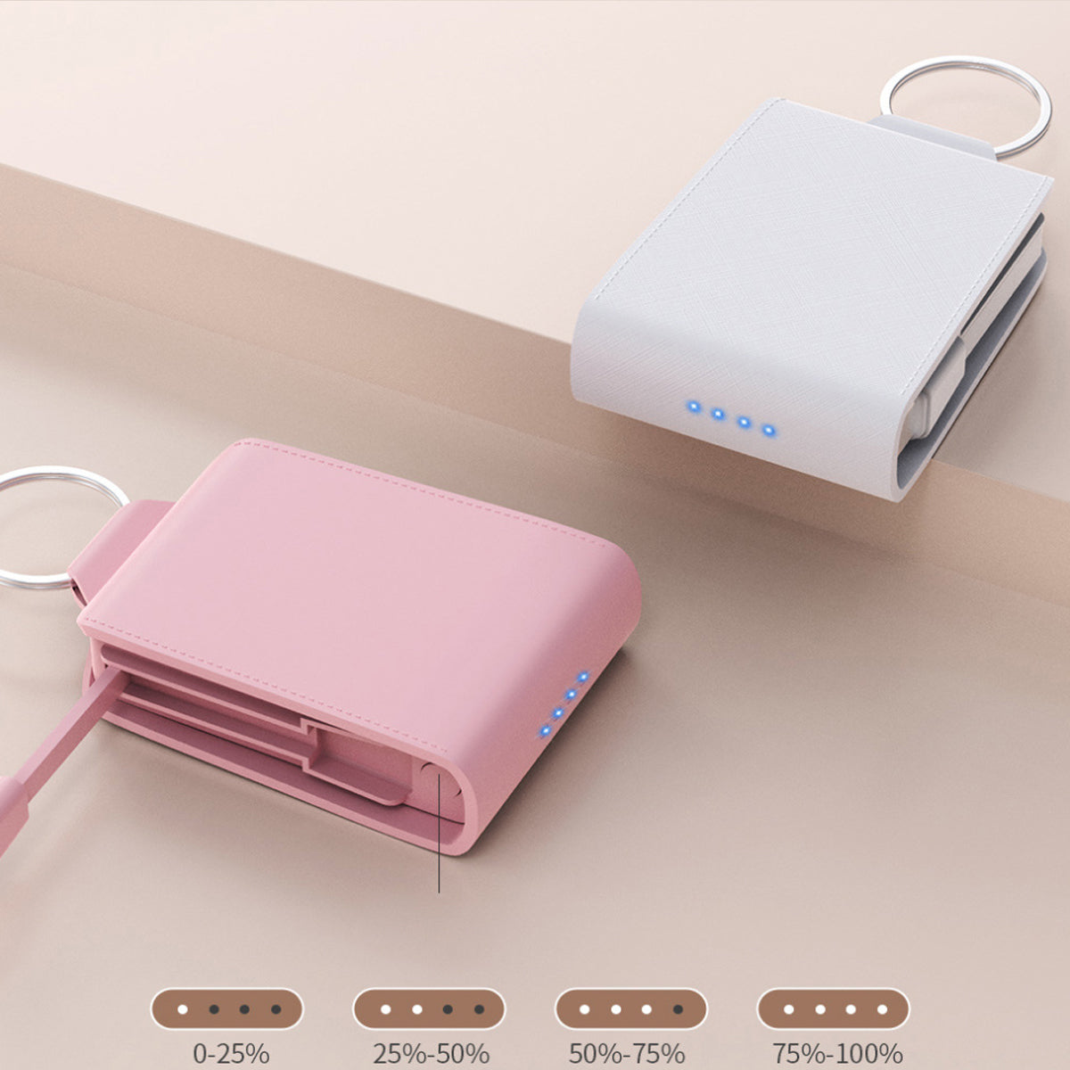 Mini Purse Style Dual Phone and Gadget Charger Vista Shops