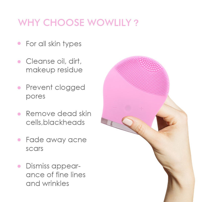 Love Your Skin Again My Sonic Makeup Cleaner And Massager Vista Shops