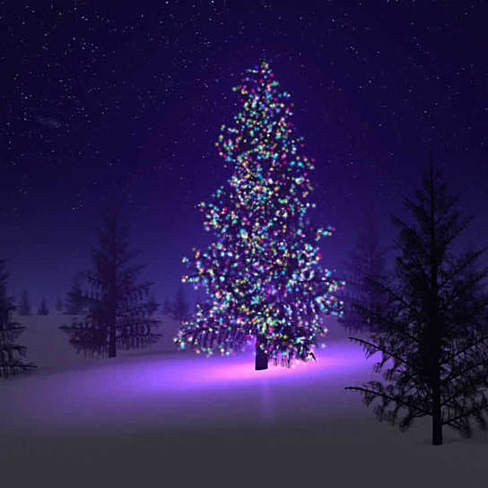 Colorful Firefly - Solar mini LED Christmas lights on Strings Vista Shops